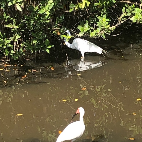 Welcome! - Picture 5 of 8